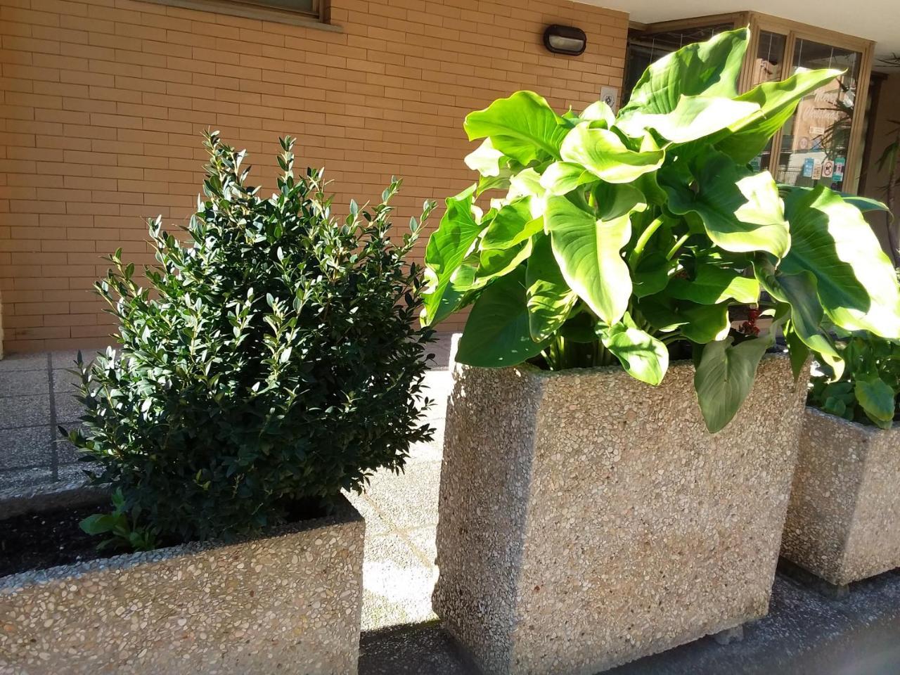 Albergo Nyers Perugia Dış mekan fotoğraf