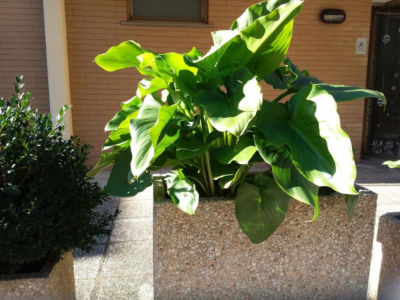 Albergo Nyers Perugia Dış mekan fotoğraf
